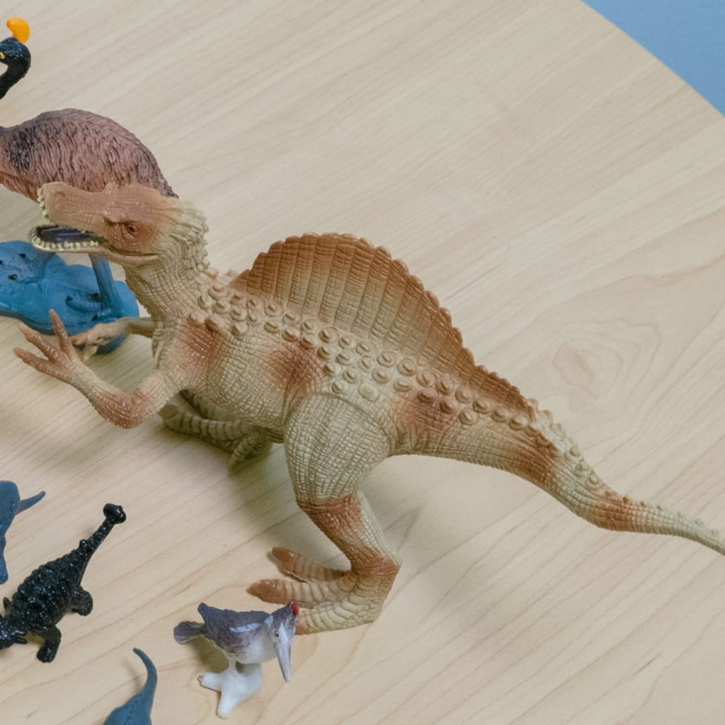 Dinosaur, Animal & Ocean Life Kit